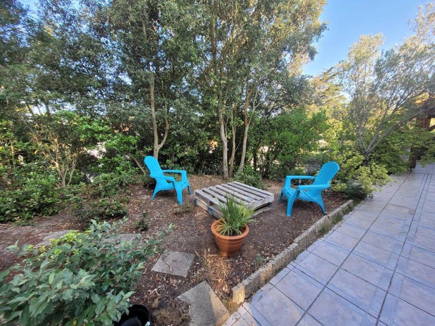 Holiday home Grande Terrasse 800m Demoiselles