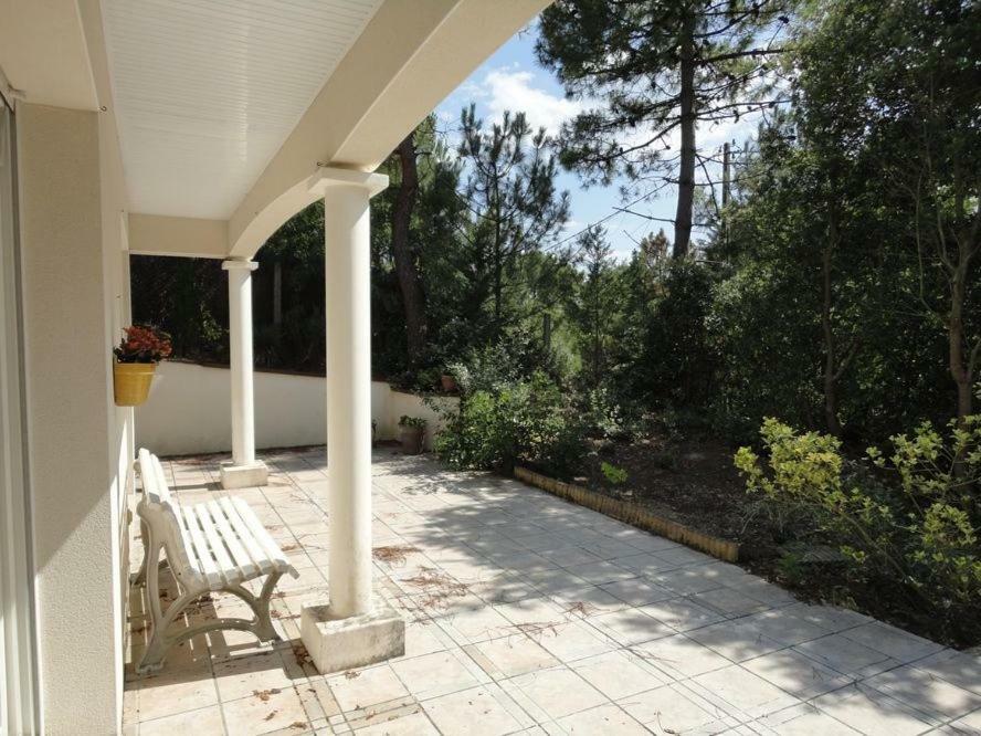 Grande Terrasse 800m Demoiselles *